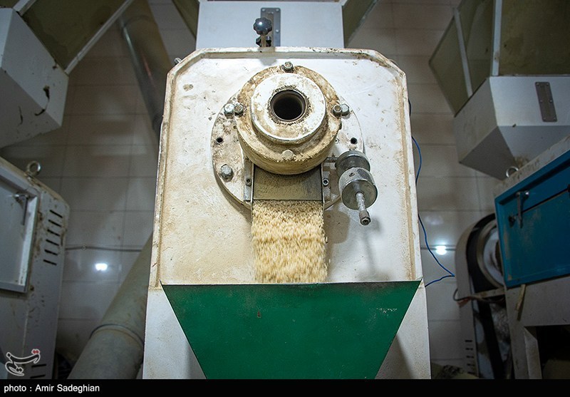 لغو ممنوعیت واردات برنج در فصل برداشت ملغی الاثر شد – تسنیم