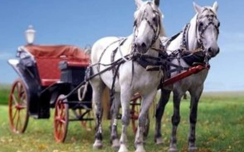 لنین می گفت چپ افراطی و راست افراطی ، دو اسب هستند که یک درشکه را حمل می کنند!