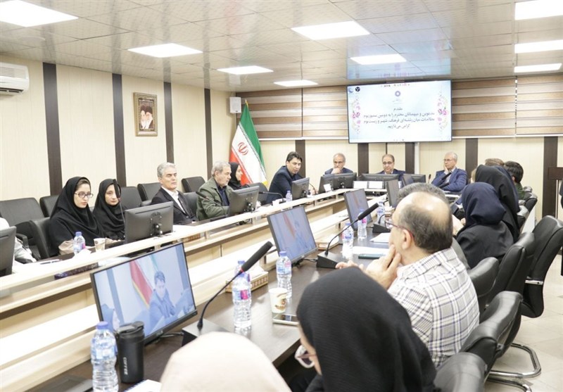 میرزایی: تحلیل مسائل جامعه نیازمند مدلهای میان رشته‌ای است – تسنیم