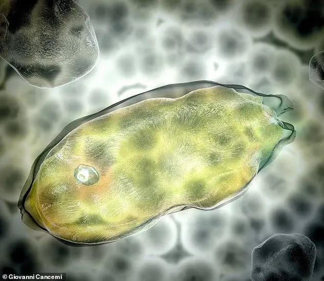 میکروب‌هایی که پس از ۴۰ هزار سال از یخ‌بندان بیدار شدند