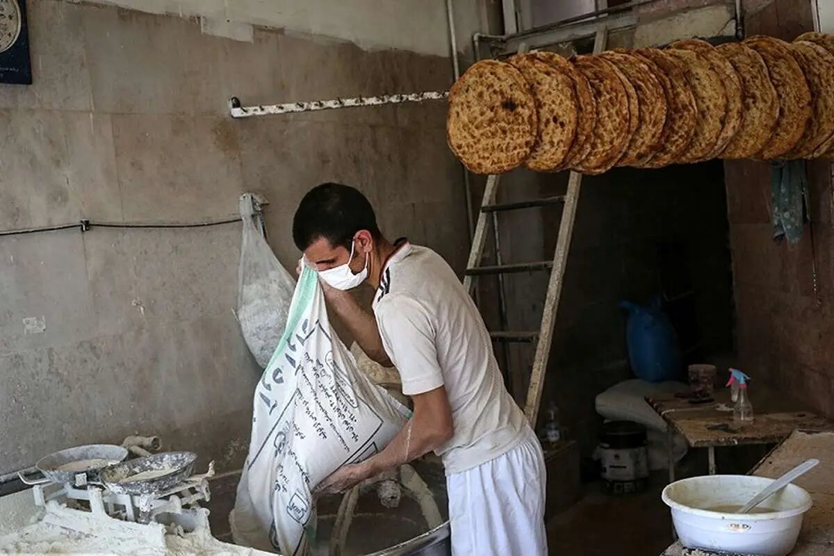 نان دوباره گران می‌شود؟