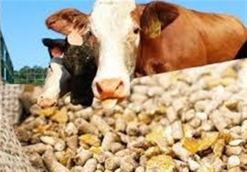 هشدار سازمان بازرسی به وزارت جهاد کشاورزی درباره نهاده‌های دامی – تسنیم