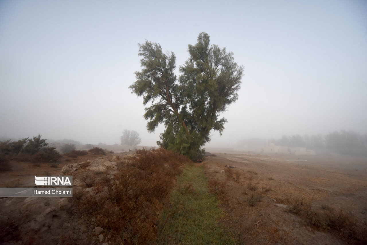 هوای جنوب شرقی کشور ابری می شود/ بارش باران در سواحل شمالی