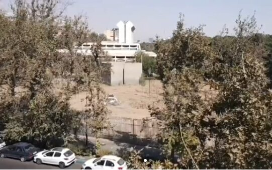 واکنش مدیر موزه فرش به خبر قطع درختان در این موزه: فقط سه چنار خشکشده را حذف کردیم واکنش مدیر موزه فرش به خبر قطع درختان در این موزه: فقط سه چنار خشکشده را حذف کردیم