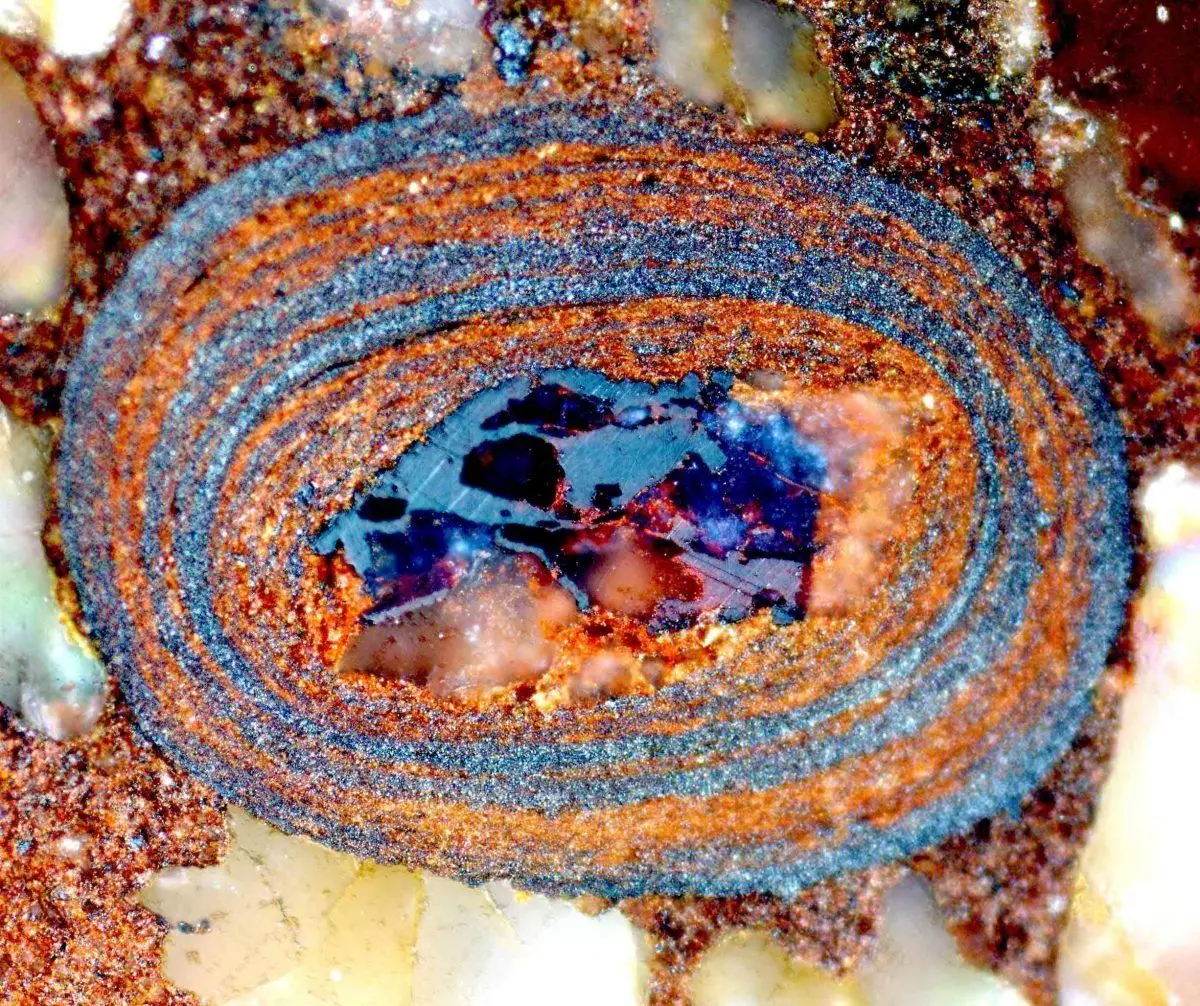 وقتی شن‌ها حرف می‌زنند؛ رازهای نخستین زندگی از دل اقیانوس‌های باستانی