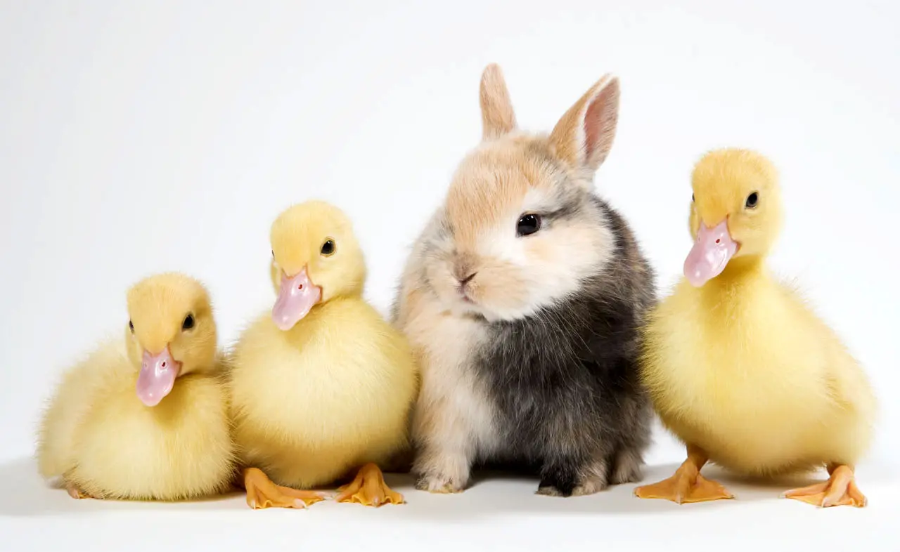 وقتی موفقیت حس تقلبی دارد؛ چگونه خود را باور کنیم؟