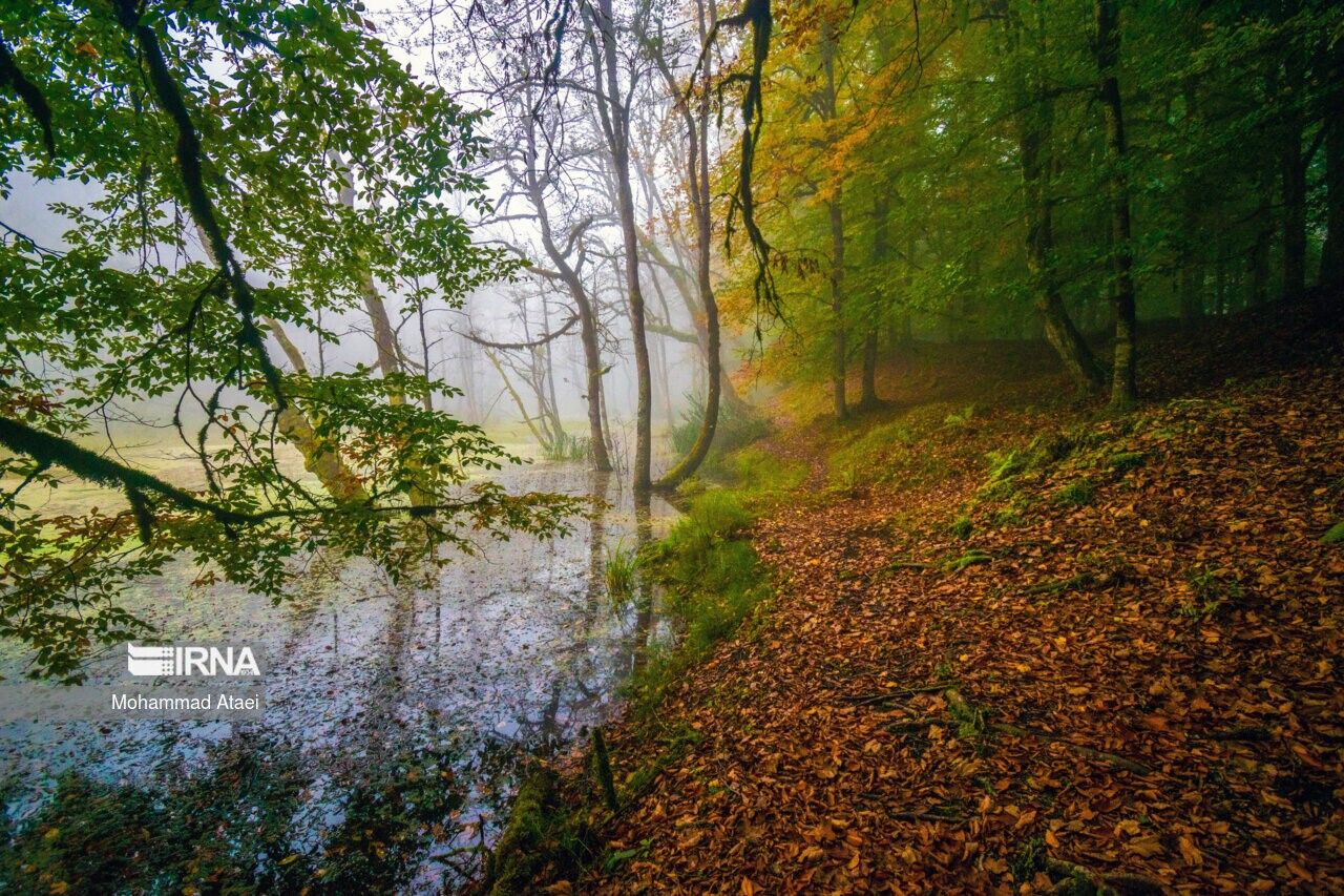 پاییز کم‌بارش و زمستان گرم در پیش است