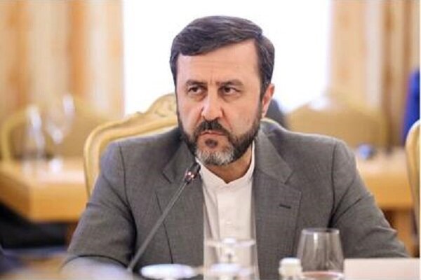 پیام معاون حقوقی وزارت خارجه درباره مقابله با اسنپ‌بک