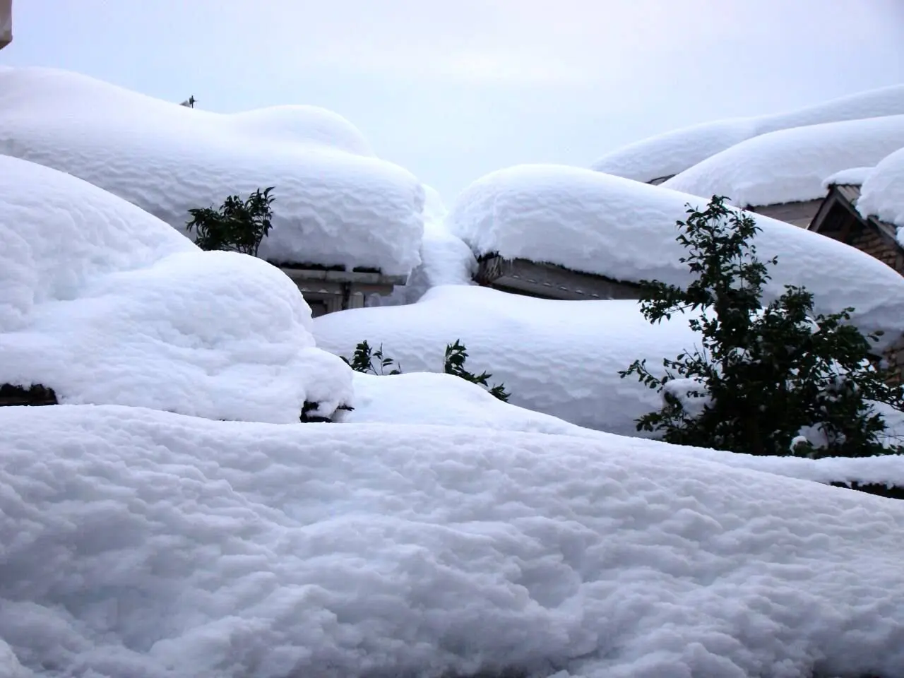 پیش بینی غیر منتظره بارش برف در این استان