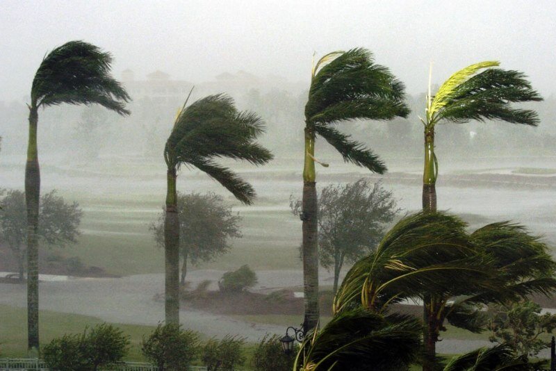 پیش‌بینی وزش باد شدید در برخی ساعات در نوار غربی کشور