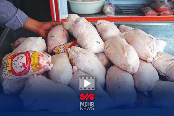 چرا مرغ کیلویی ۶ دلار برای مردم آب می‌خورد؟
