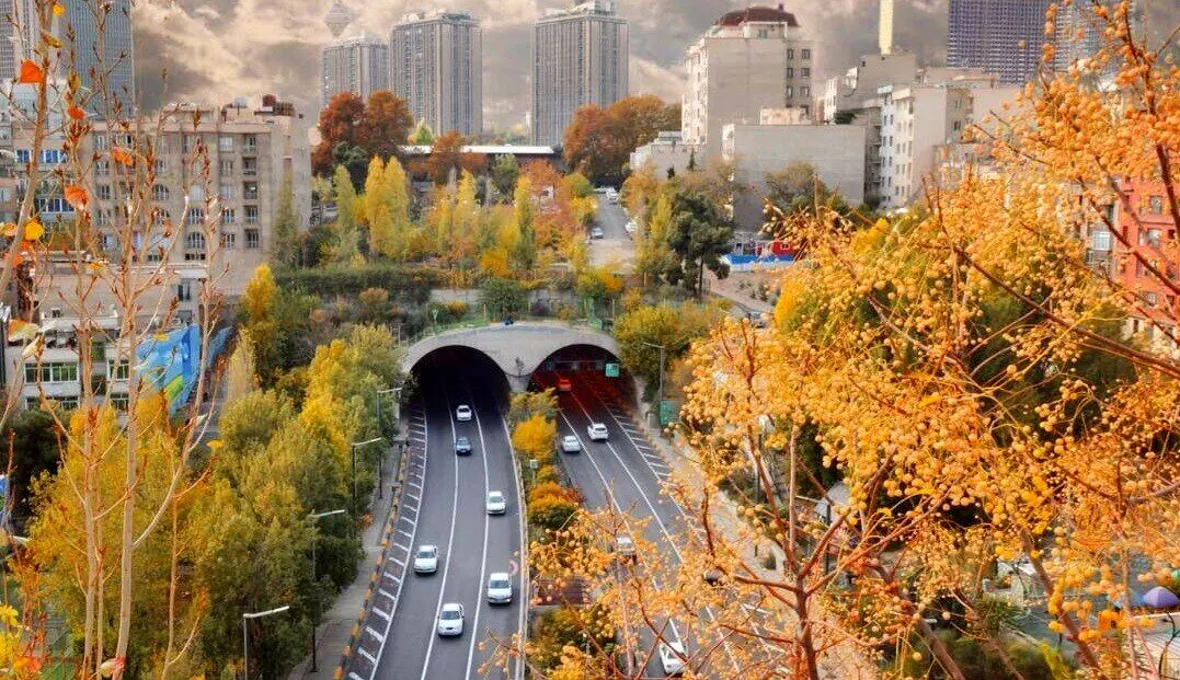 کاهش دما تا ۱۰ درجه در شمال شرق؛ خطر سرمازدگی باغات و مزارع