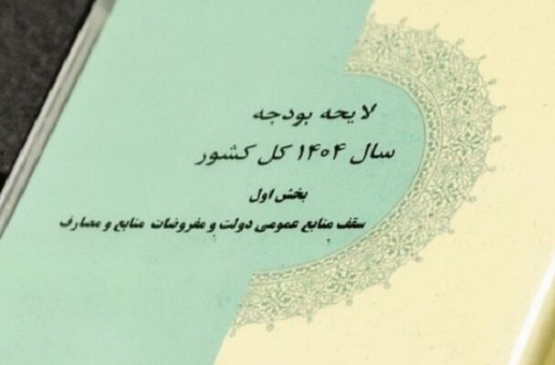 کاهش چشمگیر سهم بودجه دستگاههای اجرایی/ دولت سهم ۸۰ درصدی دارد