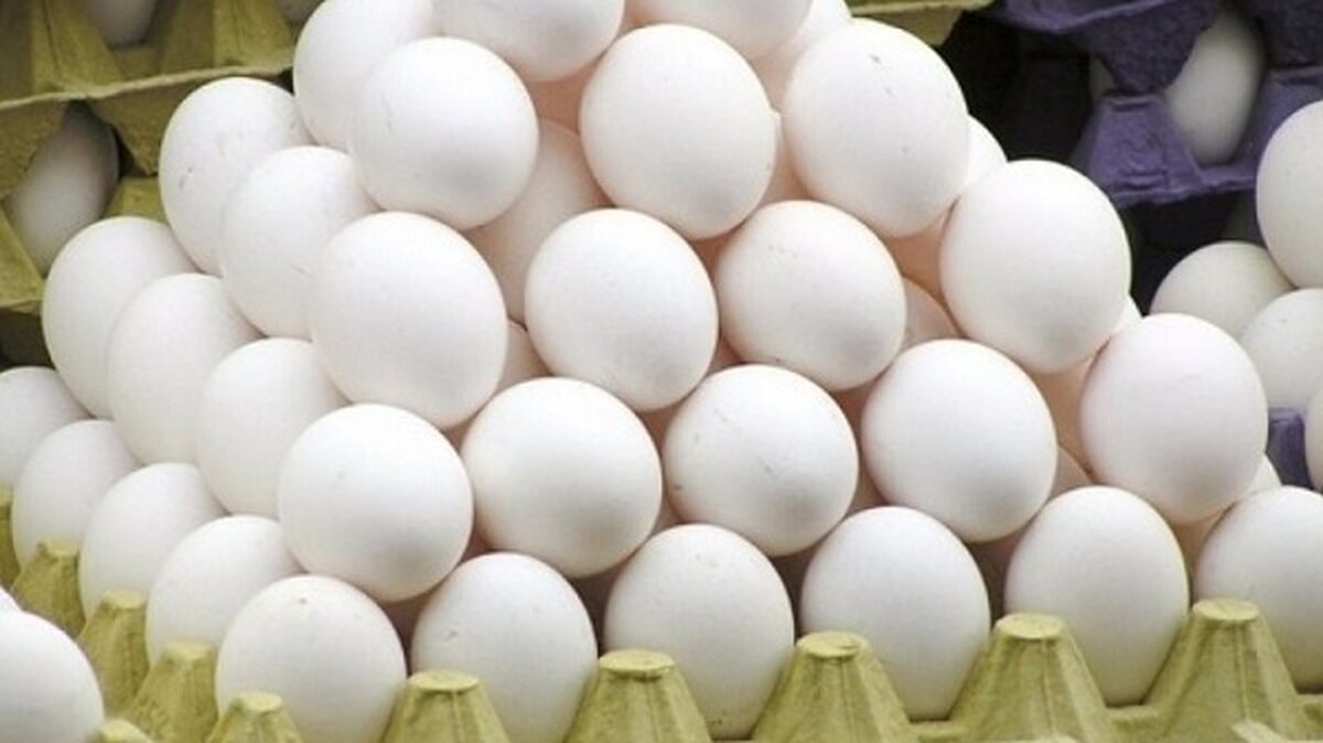 کشف ۴ تن تخم مرغ خارج از شبکه توزیع در میامی؛ یک نفر دستگیر شد