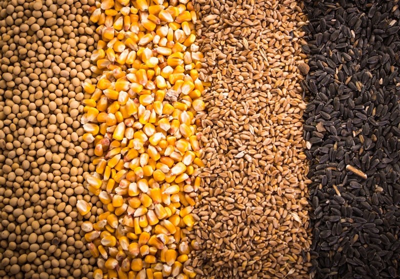 مهلت 3 روزه بازرگانان برای ابطال ثبت‌سفارش های راکد نهاده‌های دامی – تسنیم