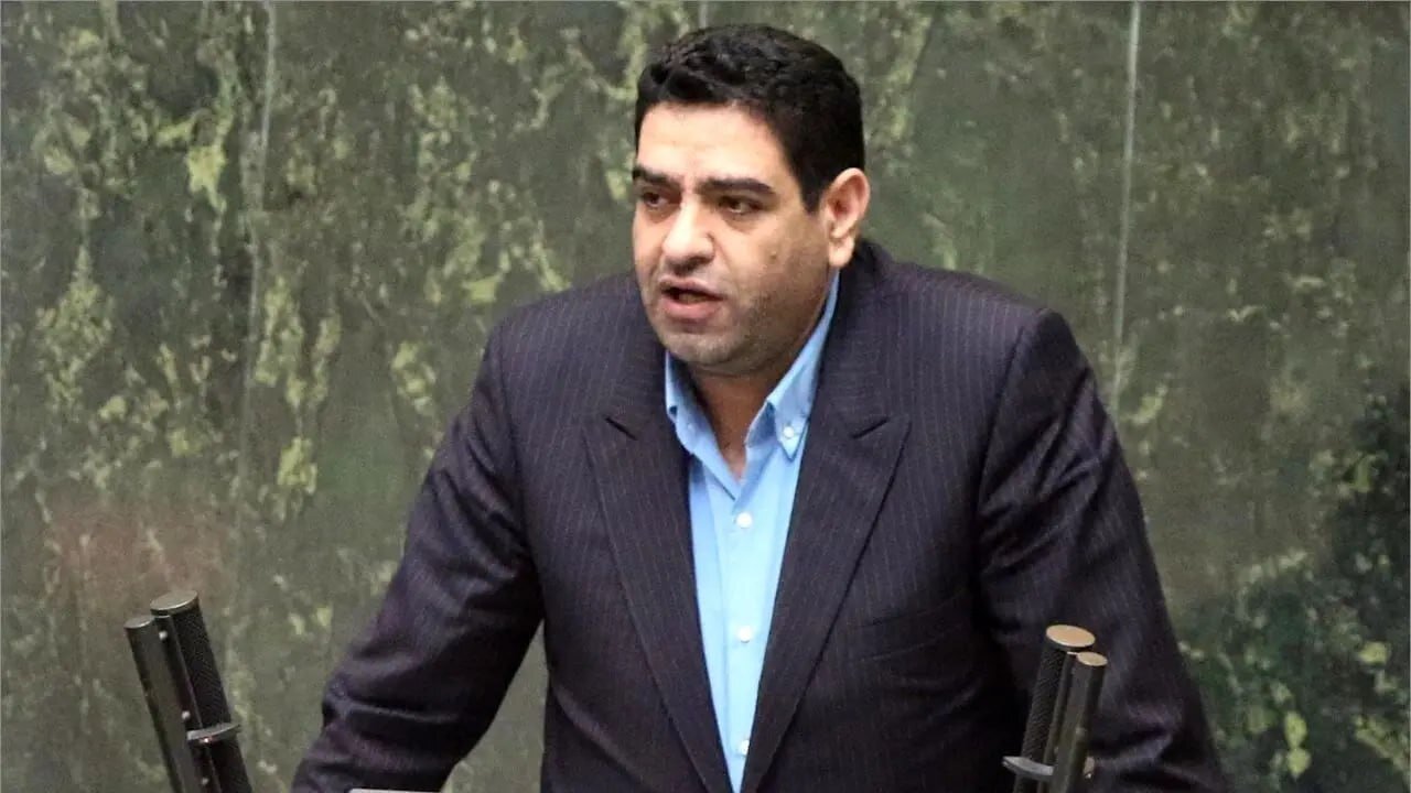 گلایه یک نماینده مجلس درباره حذف یارانه ها/ ای‌کاش وزارت تعاون حذف یارانه ۳ دهک بالا را یک سال به تعویق می‌انداخت