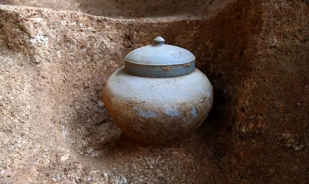 گنج سکه‌های چینی در خرابه‌های پادشاهی پسر سوسانو + عکس