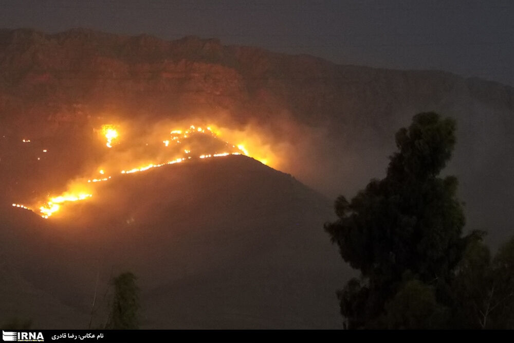 ۱۲ هکتار از جنگل‌های تنگه رازیانه بدره در آتش سوخت