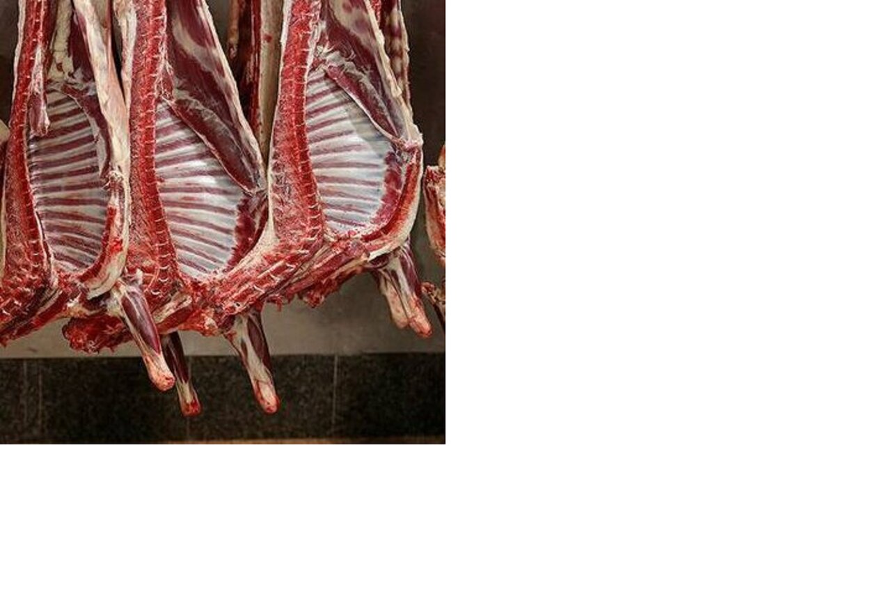 صفحهٔ درخواستی شما یافت نشد.