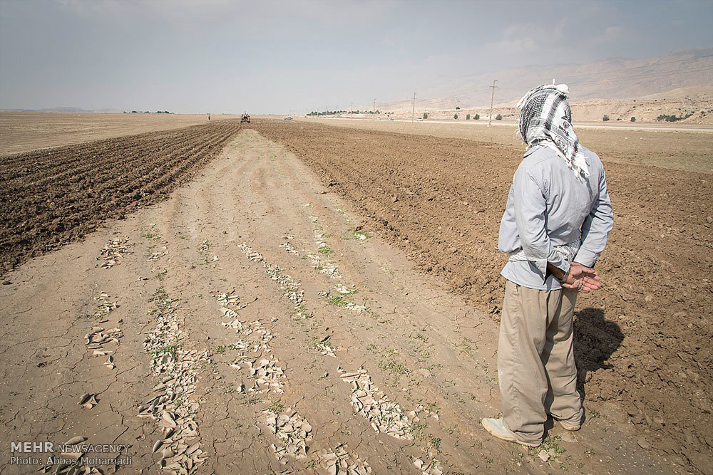 آب به کشاورزان رفیع رسید آب به کشاورزان رفیع رسید