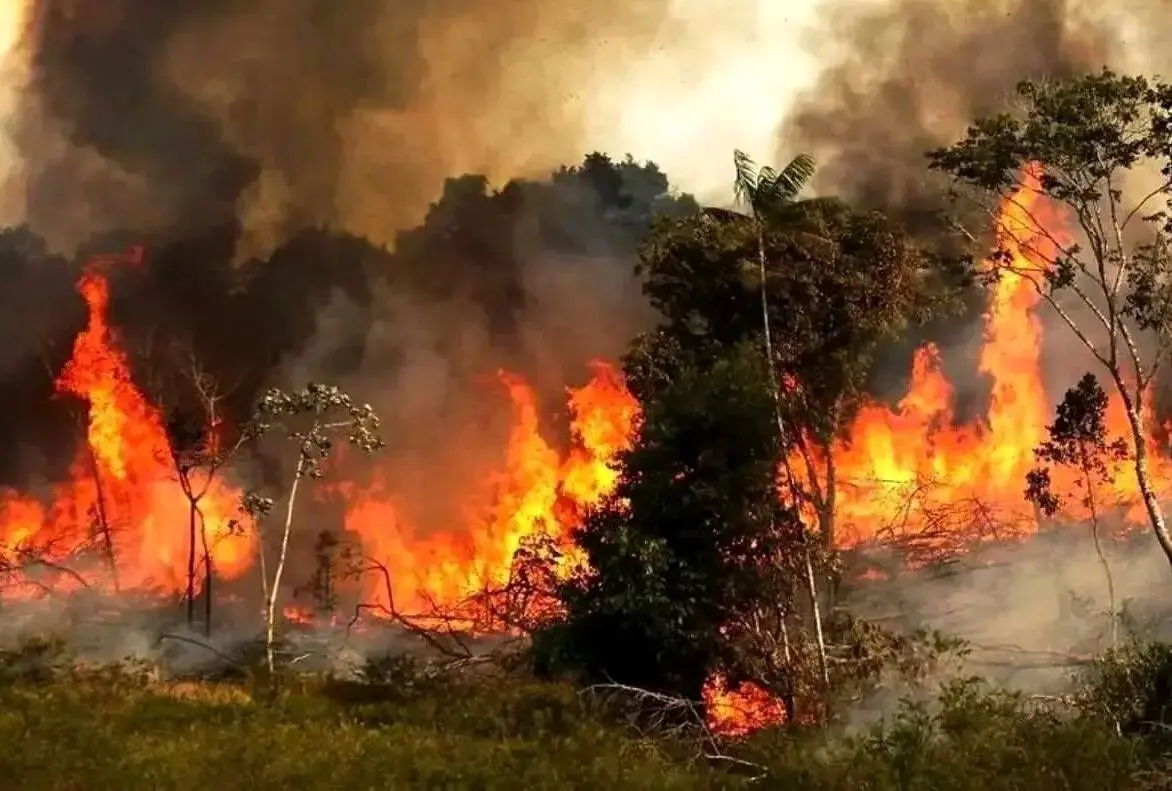 آتشسوزی جنگل الیت چالوس از دیدگاه ناسا + تصاویر آتشسوزی جنگل الیت چالوس از دیدگاه ناسا + تصاویر