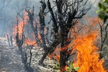 اعزام هواپیماهای اطفای حریق از ترکیه برای مهار آتش جنگل الیت اعزام هواپیماهای اطفای حریق از ترکیه برای مهار آتش جنگل الیت