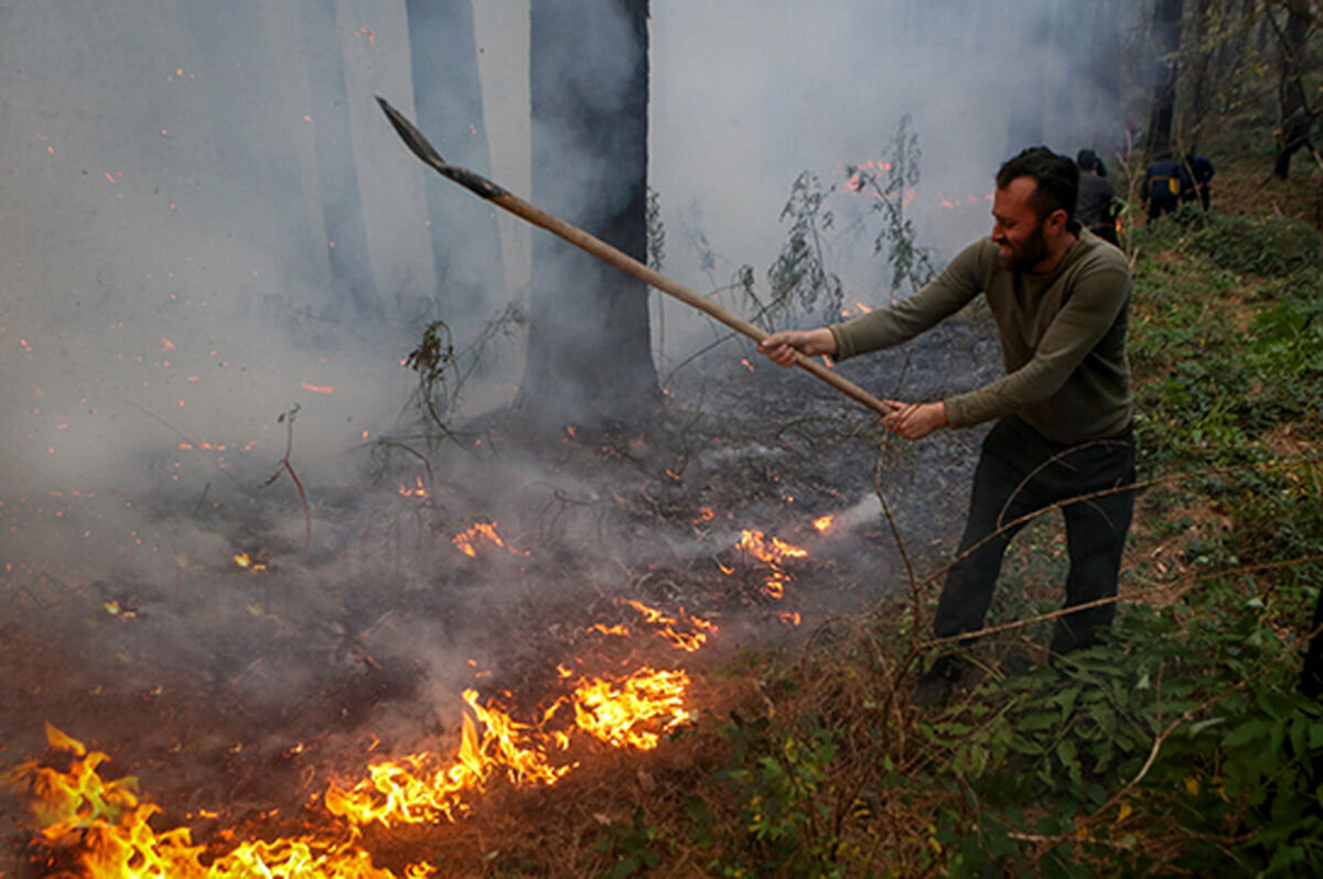 اعلام آخرین وضعیت جنگل‌های الیت پس از هشت روز آتش‌سوزی