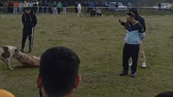 این چهار نفر بازداشت شدند/ماجرا چیست؟ این چهار نفر بازداشت شدند/ماجرا چیست؟