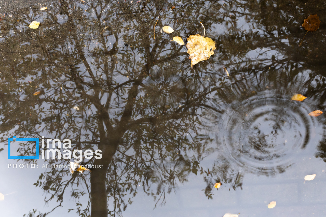 بارش پراکنده باران در سواحل دریای خزر و خراسان شمالی بارش پراکنده باران در سواحل دریای خزر و خراسان شمالی