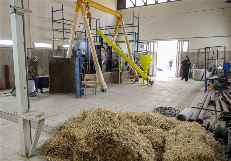 بایوچار مصرف آب کشاورزی را تا 30 درصد کاهش می‌دهد – تسنیم