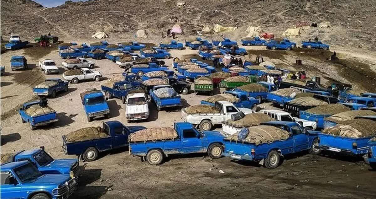 بررسی معضل قاچاق سوخت در جنوب کرمان؛ چالش‌ها و راهکارها