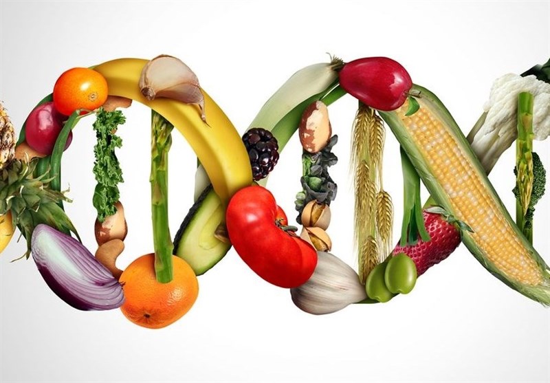 بقایای محصولات تراریخته به محیط زیست آسیب می‌زند – تسنیم