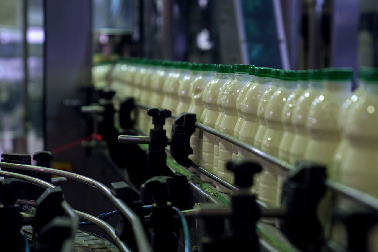 تب برفکی و کمبود نهاده؛ دو عامل گرانی شیرخام