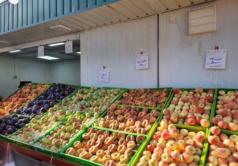 تعداد میادین میوه و تره‌بار پایتخت به 321 مورد رسید/ 53 درصد میادین در مناطق جنوبی – تسنیم