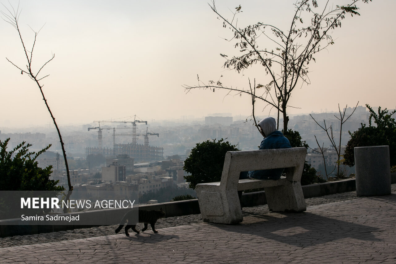 تهران در چنگال آلودگی؛چرا برخی ادارات مصوبات اضطرار را نادیده میگیرند تهران در چنگال آلودگی؛چرا برخی ادارات مصوبات اضطرار را نادیده میگیرند