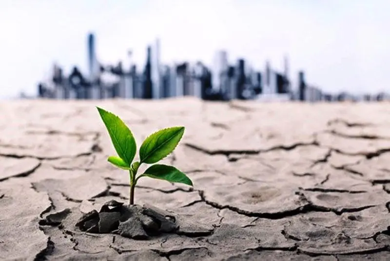 تهران چقدر تا روز صفر آبی فاصله دارد؟ | میرچی: ۳۰ تا ۴۰ درصد آب پایتخت به خاطر نشتی هدر می‌ رود | امنیت غذایی جایگزین خودکفایی غذایی شود