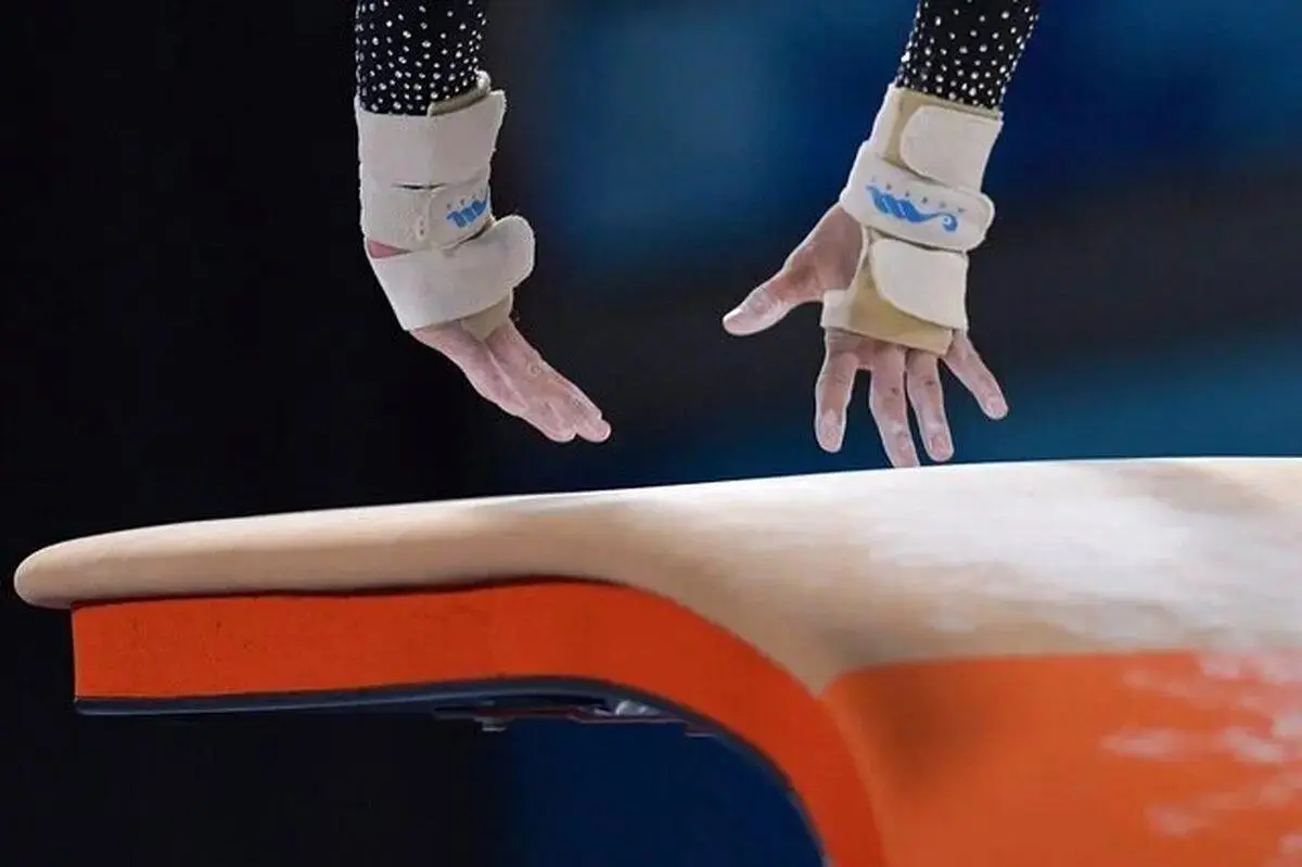 توضیحات جدید از پلمب فدراسیون ژیمناستیک