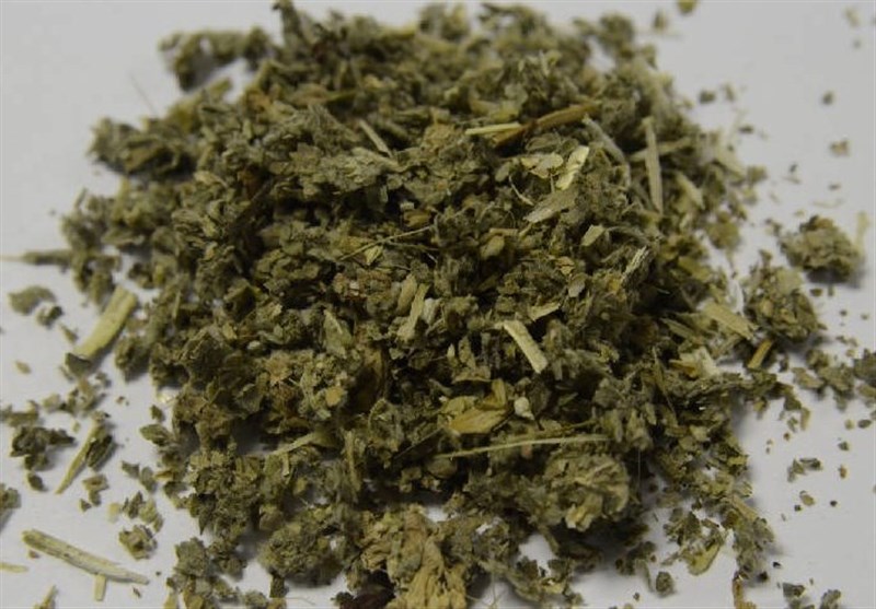 توهم ناشی از گل و حشیش می‌تواند منجر به کشتن اعضای خانواده شود – تسنیم