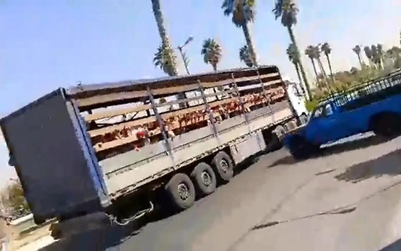 جابجایی دانش‌آموزان یک مدرسه در جهرم با تریلی کانتینردار!+ فیلم