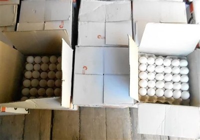 خرید حمایتی تخم‌مرغ به‌قیمت 79هزار تومان از مرغداران – تسنیم