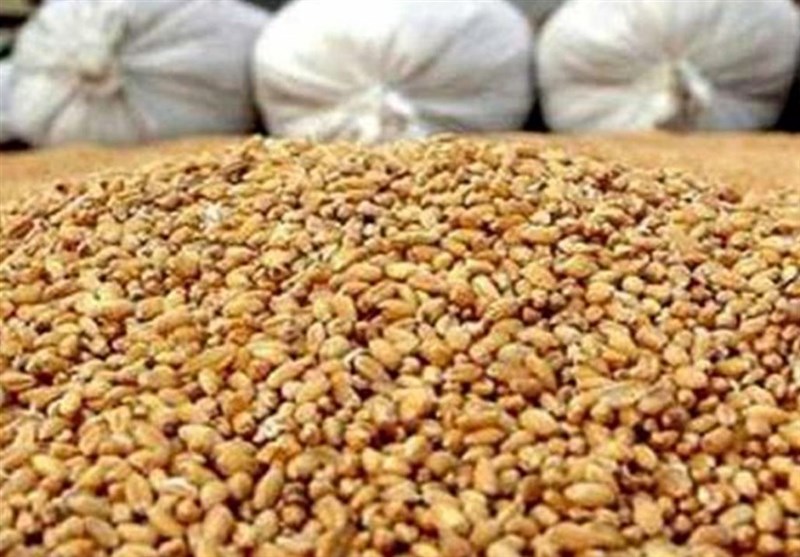 رئیس سازمان دامپزشکی: تأمین نهاده‌های دامی با گشایش ارزی بهبود یافت – تسنیم