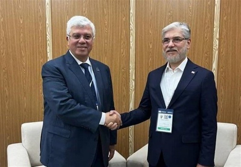 رایزنی علمی وزیر علوم با وزرای مصر و نیجریه – تسنیم رایزنی علمی وزیر علوم با وزرای مصر و نیجریه – تسنیم