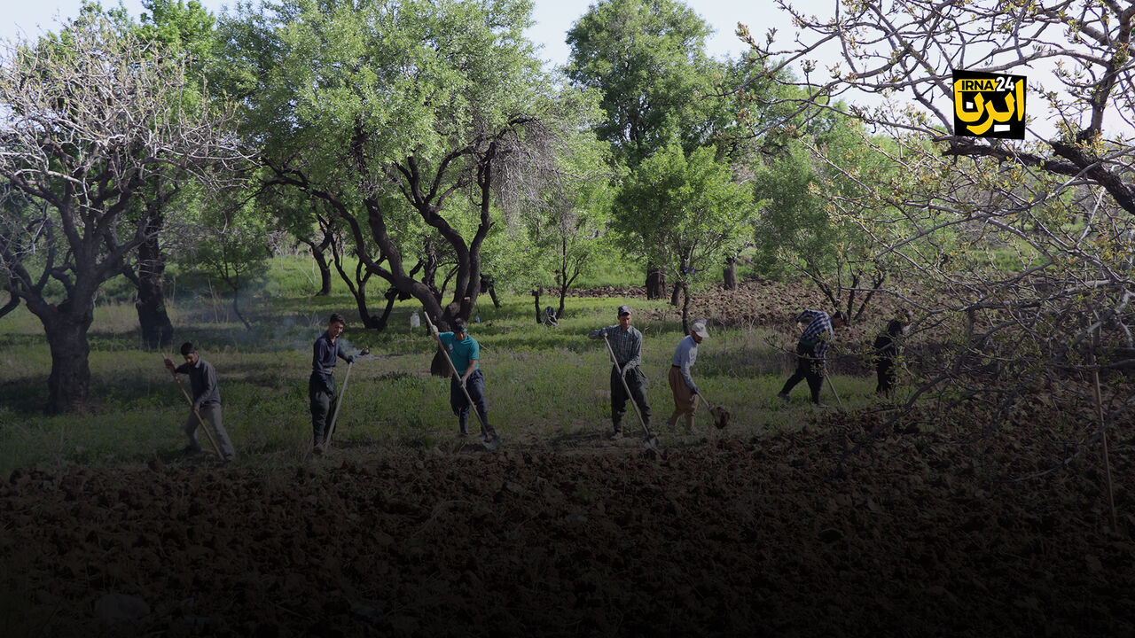 روزی که باغستان سنتی قزوین در جهان درخشید