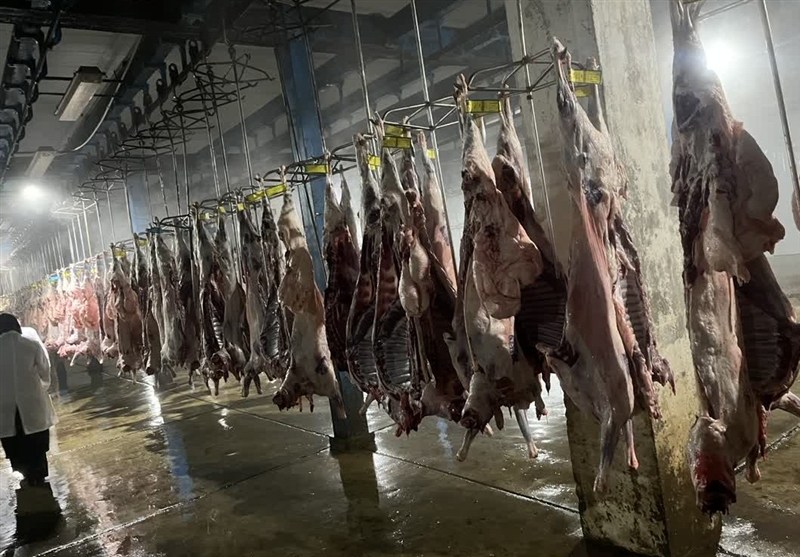 زاکانی: چرا قیمت گوشت 800 هزار تومان است؟ – تسنیم زاکانی: چرا قیمت گوشت 800 هزار تومان است؟ – تسنیم