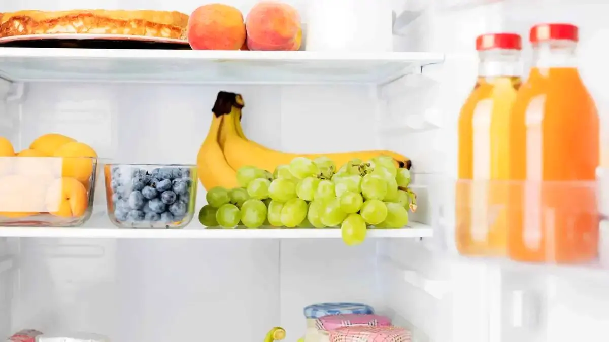 زمان ماندگاری انواع میوه‌ها در یخچال و فریزر چقدر است؟