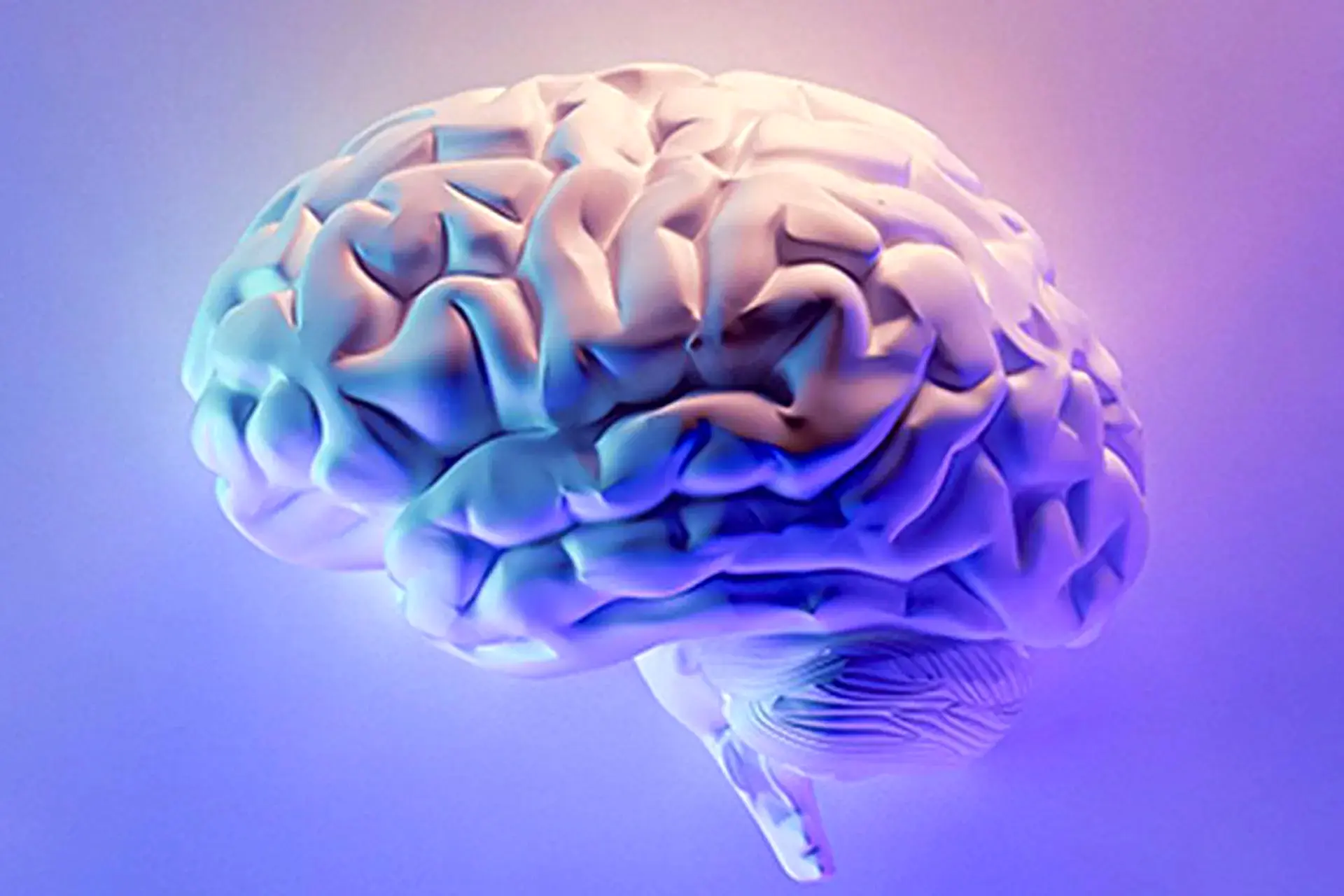 زیرنویس مغزی؛ آیا خواندن ذهن به واقعیت نزدیک شده؟