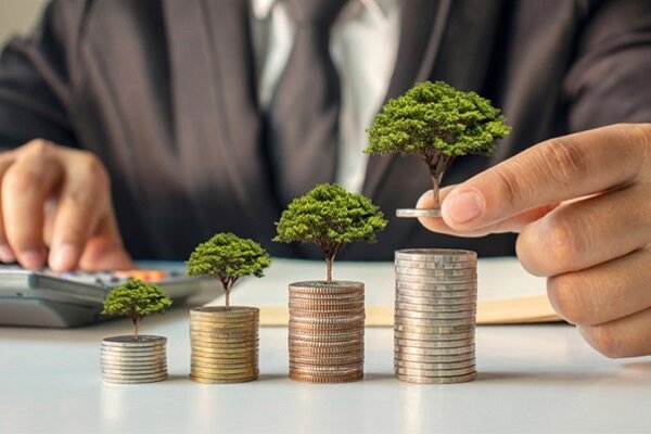 شرط موفقیت طرح رویش وزارت اقتصاد اعتمادسازی است