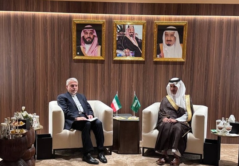 صالحی‌امیری: همکاری‌های فرهنگی ایران و عربستان می‌تواند الگوی وحدت‌اسلامی باشد – تسنیم