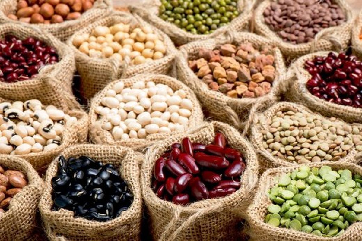 فاصله قیمتی حبوبات از مزرعه تا بازار/ دلالان، یک‌پای گرانی‌ها