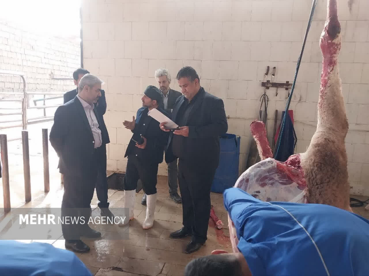 فرصت یک‌ماهه دادستان سمنان به کشتارگاه قومس